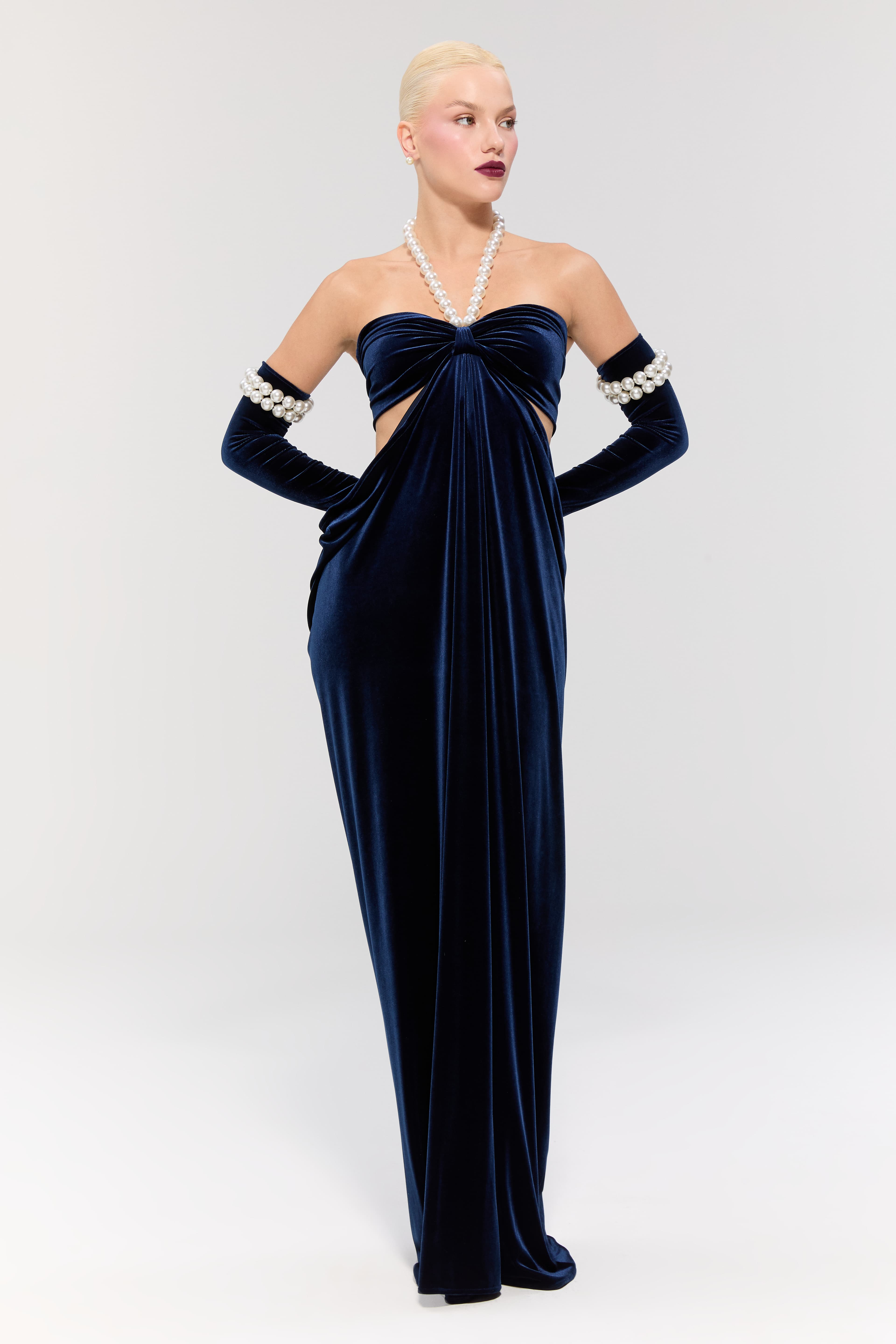 Royal Ancestry Navy Dress