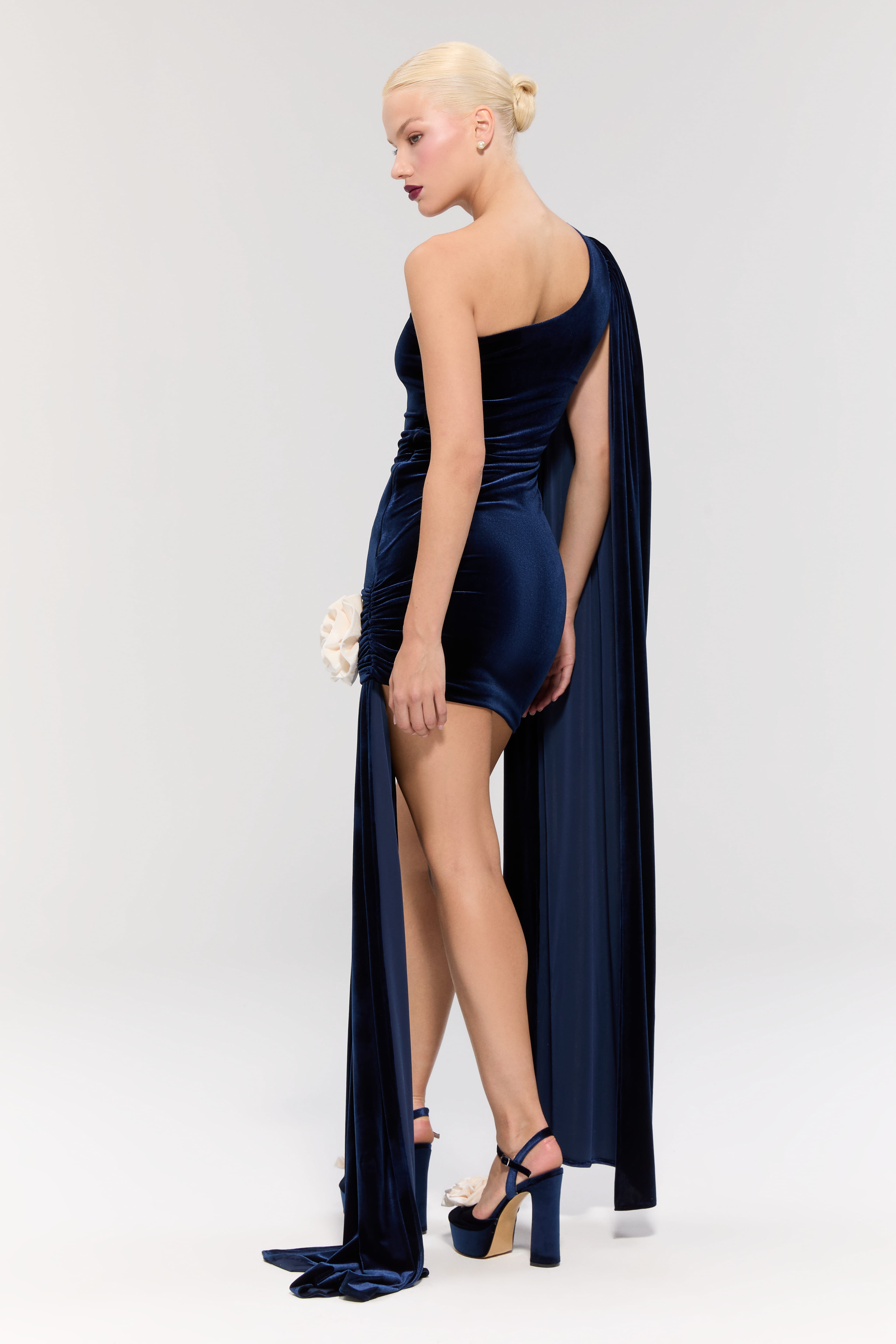 Empress Rose Navy Dress