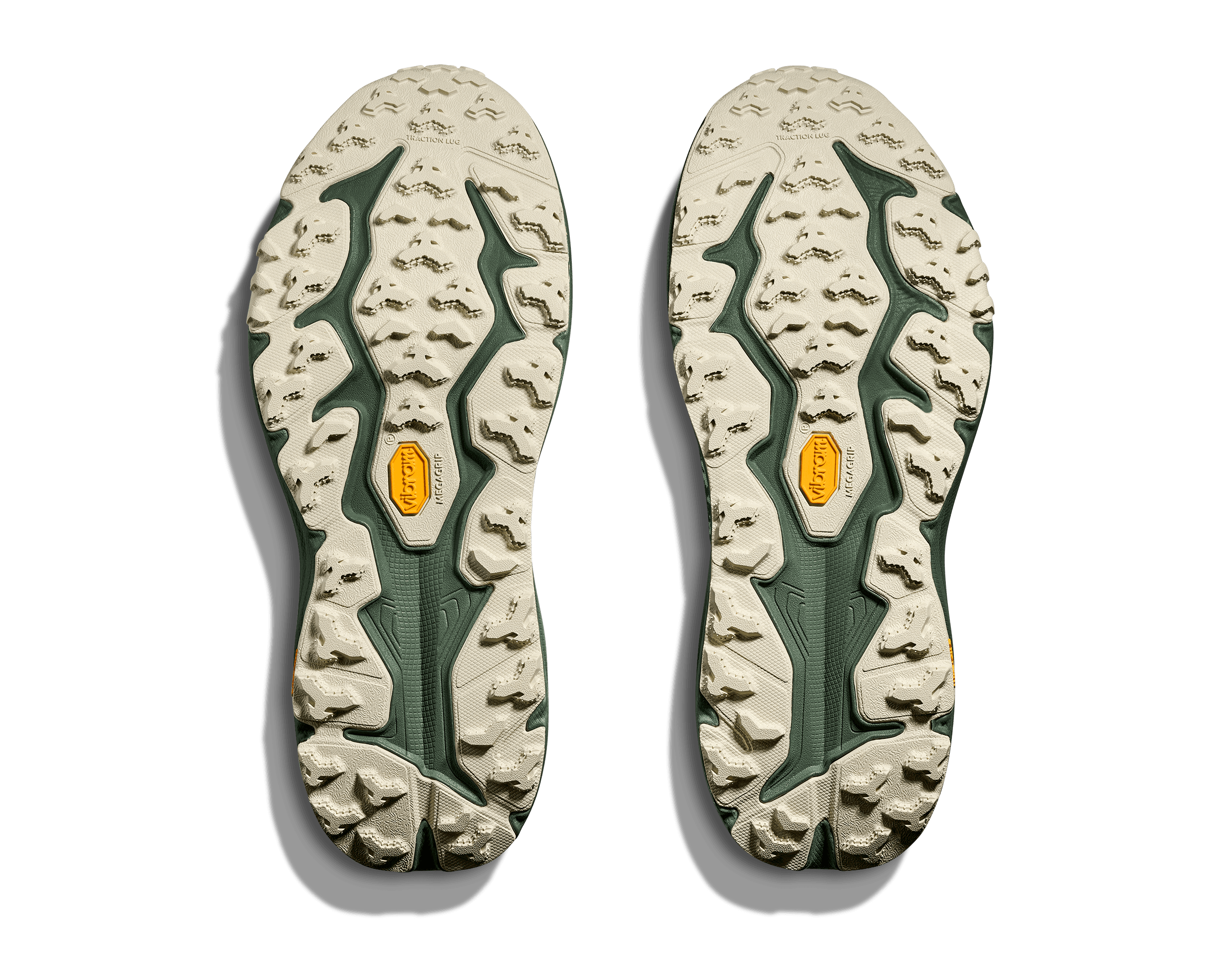 Hoka Speedgoat 6 GTX Erkek Multi Koşu Ayakkabısı 1155150-SFRN