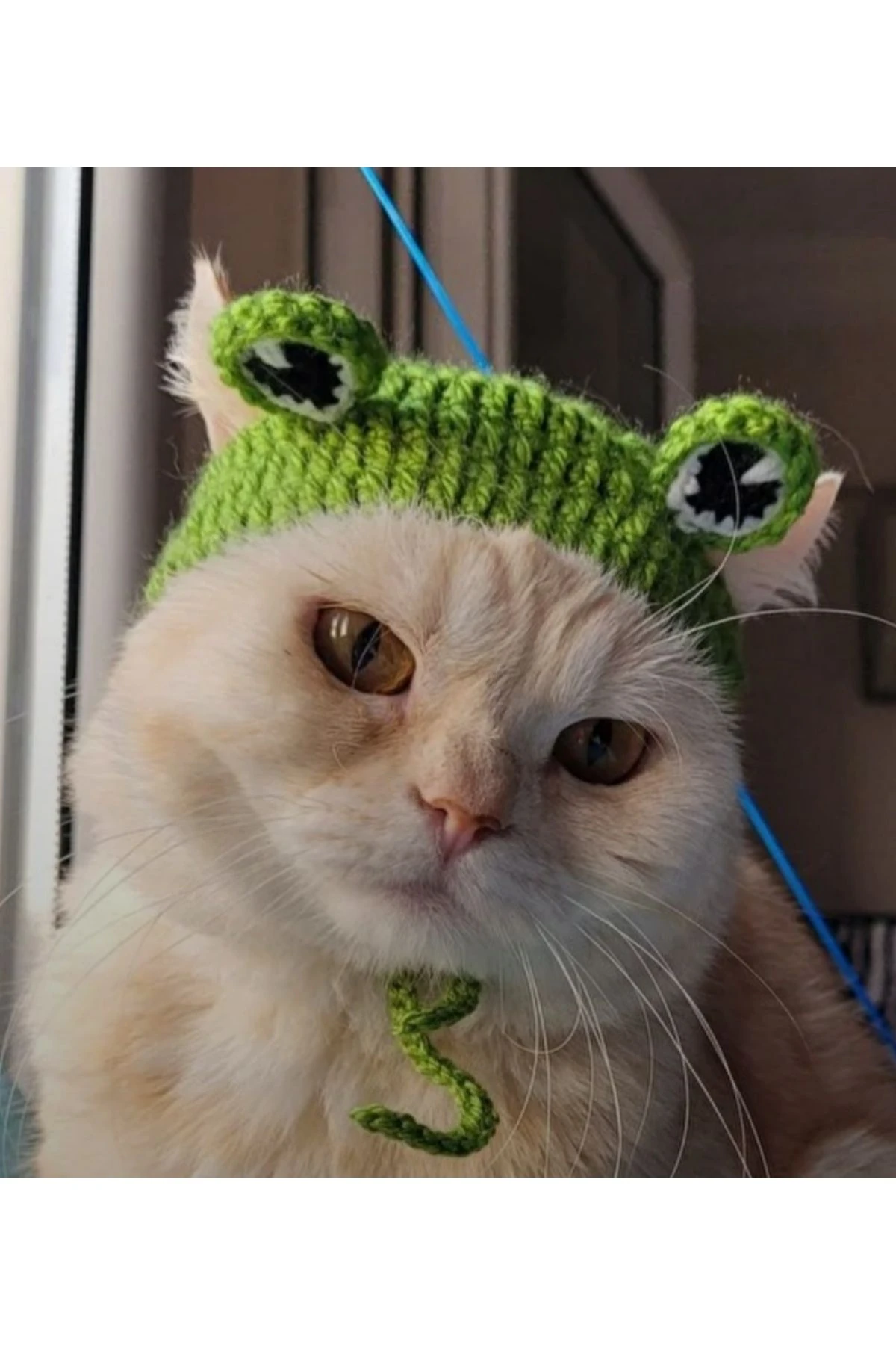 Sevimli Kurbağa Kedi Şapka & Başlık Aksesuarı, El Örgüsü,evcil Hayvan Aksesuar