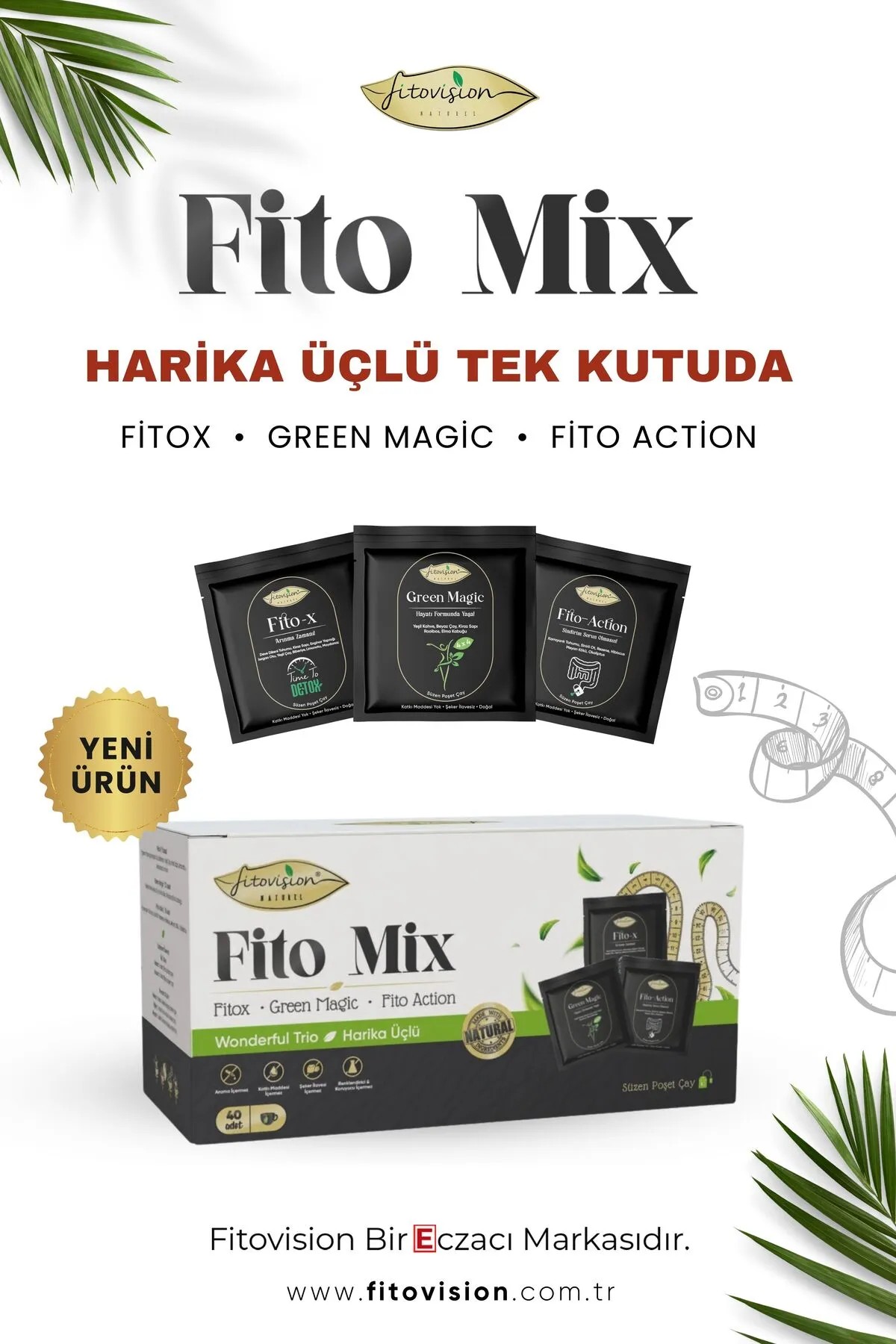 2+1 Fit Seti