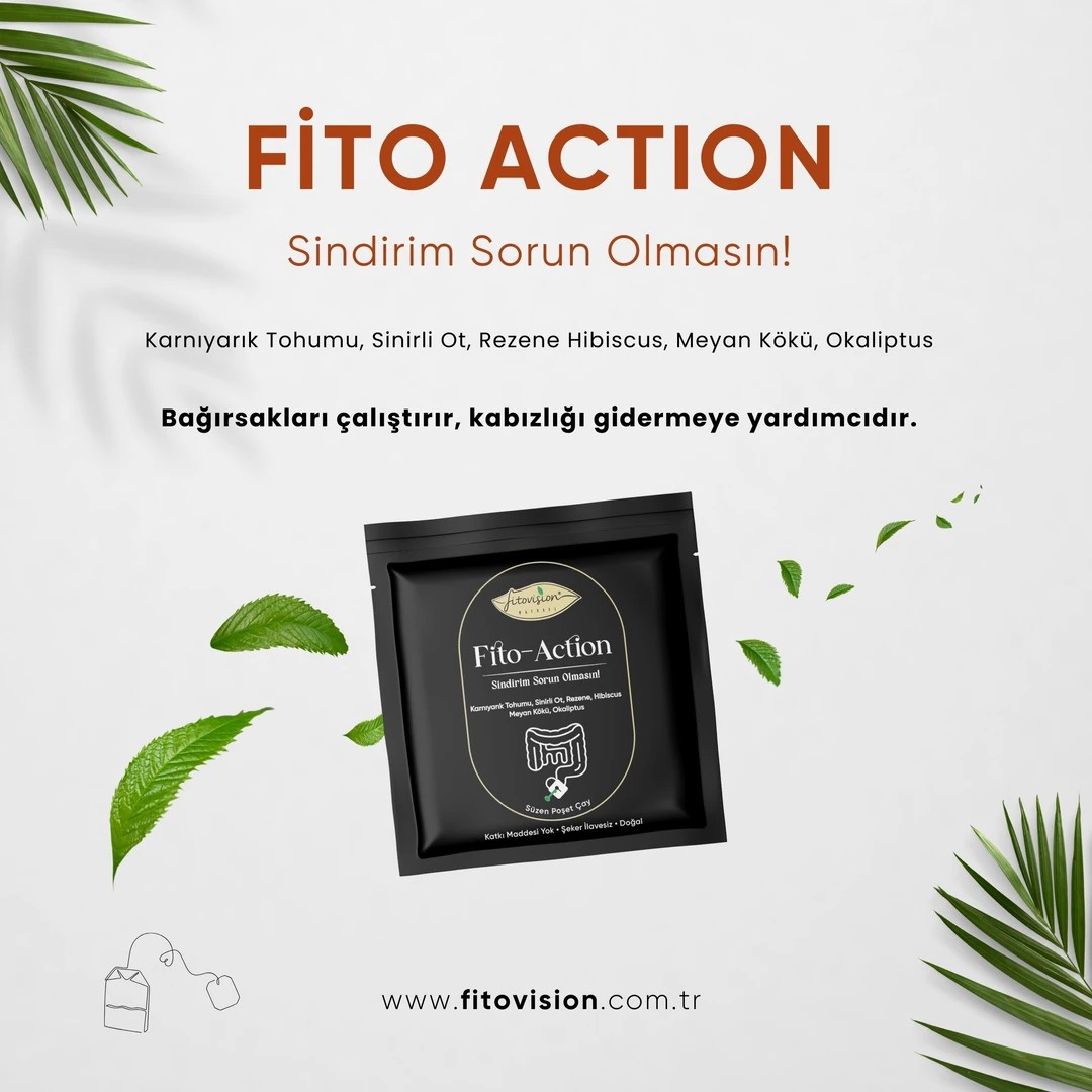 2+1 Fit Seti