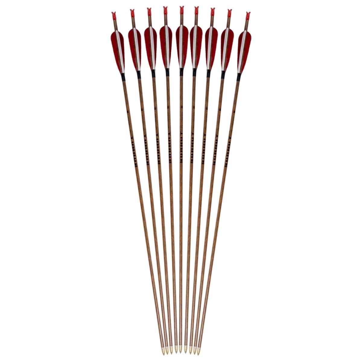 Burkut Carbon Arrow, 12 Pieces