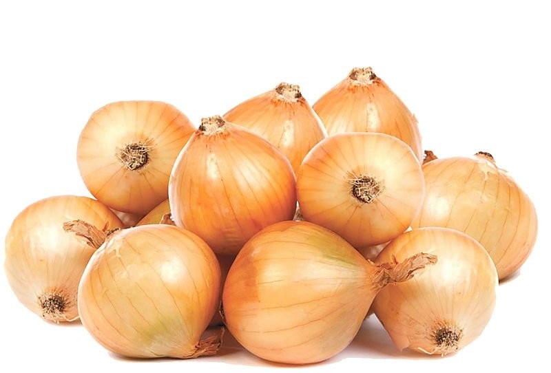 Soğan