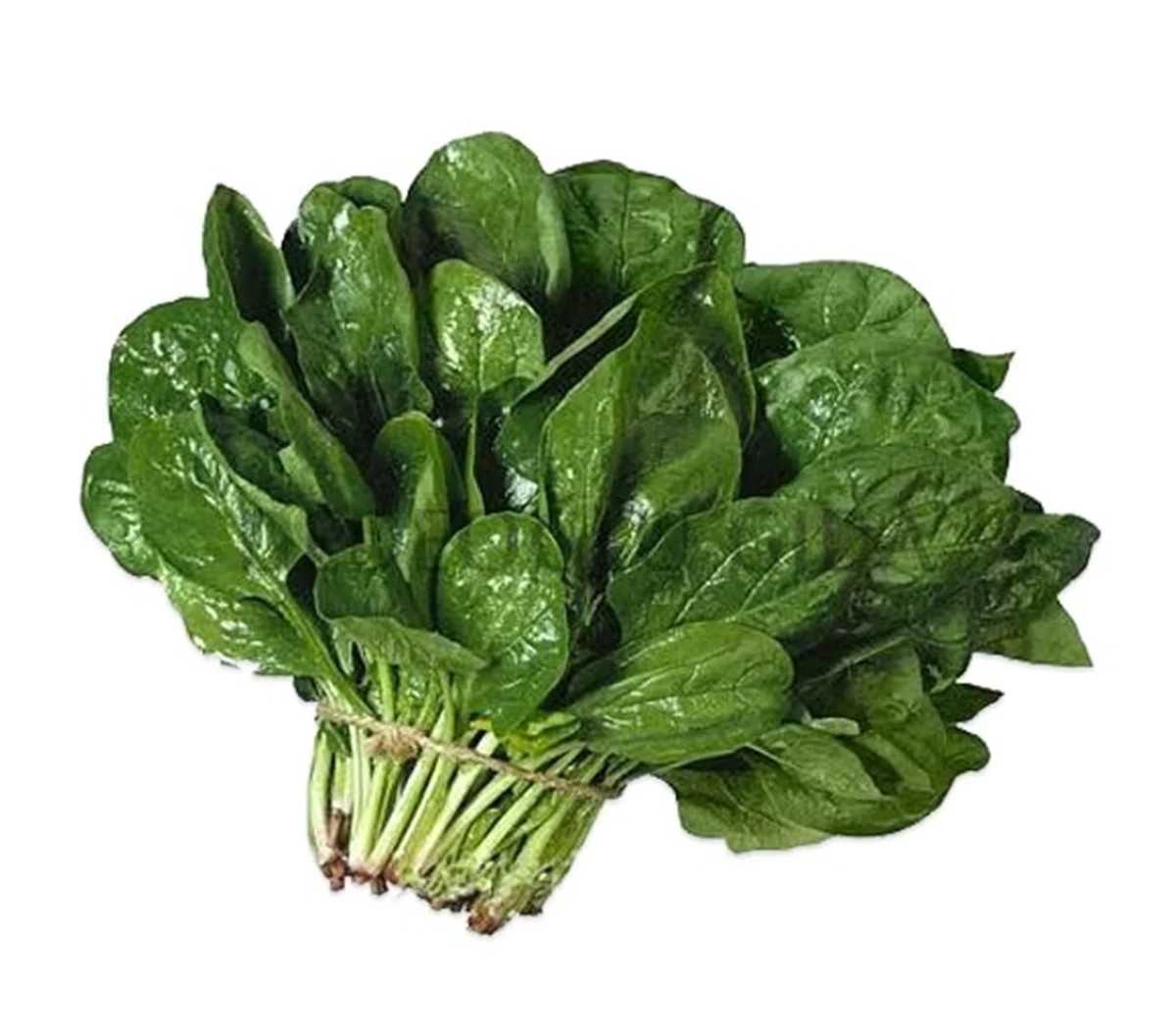 Ispanak (Bağ)