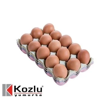 Kozlu Yumurta Sarı 15'li M boy