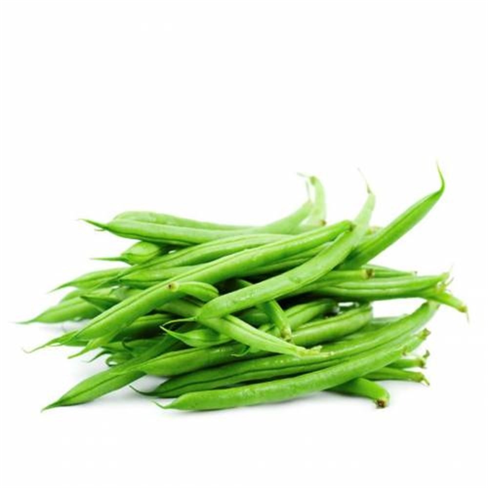 Fasulye Gina
