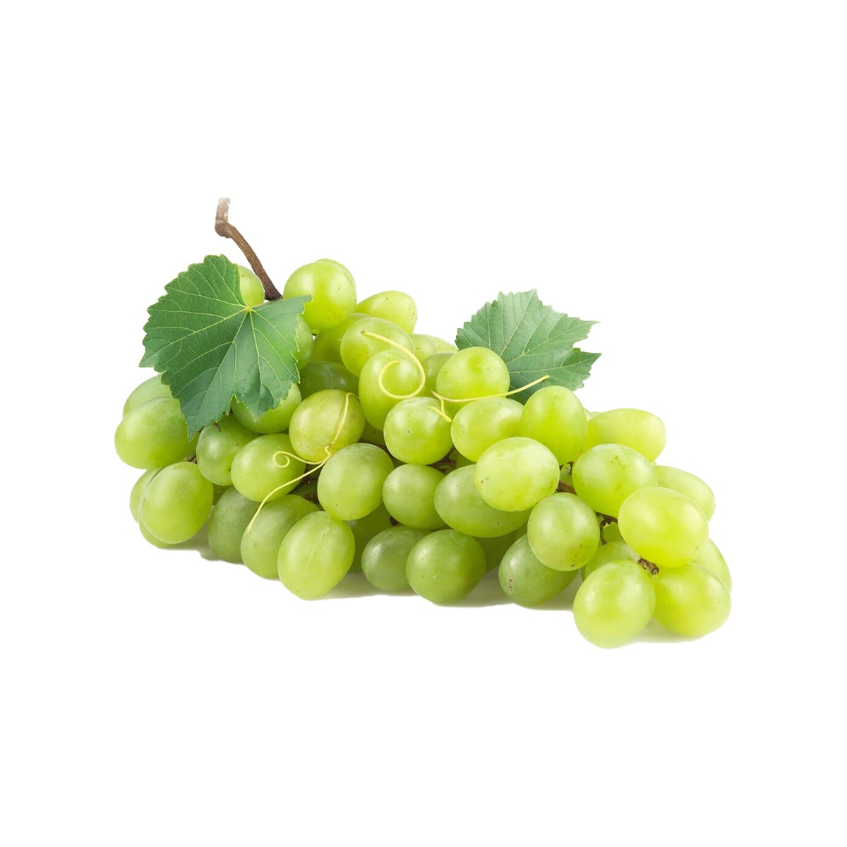Üzüm
