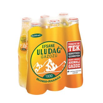 Uludağ Frutti Mango & Ananas 6x200 Ml