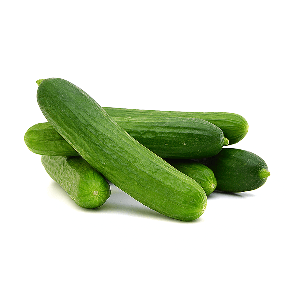 Salatalık Silör