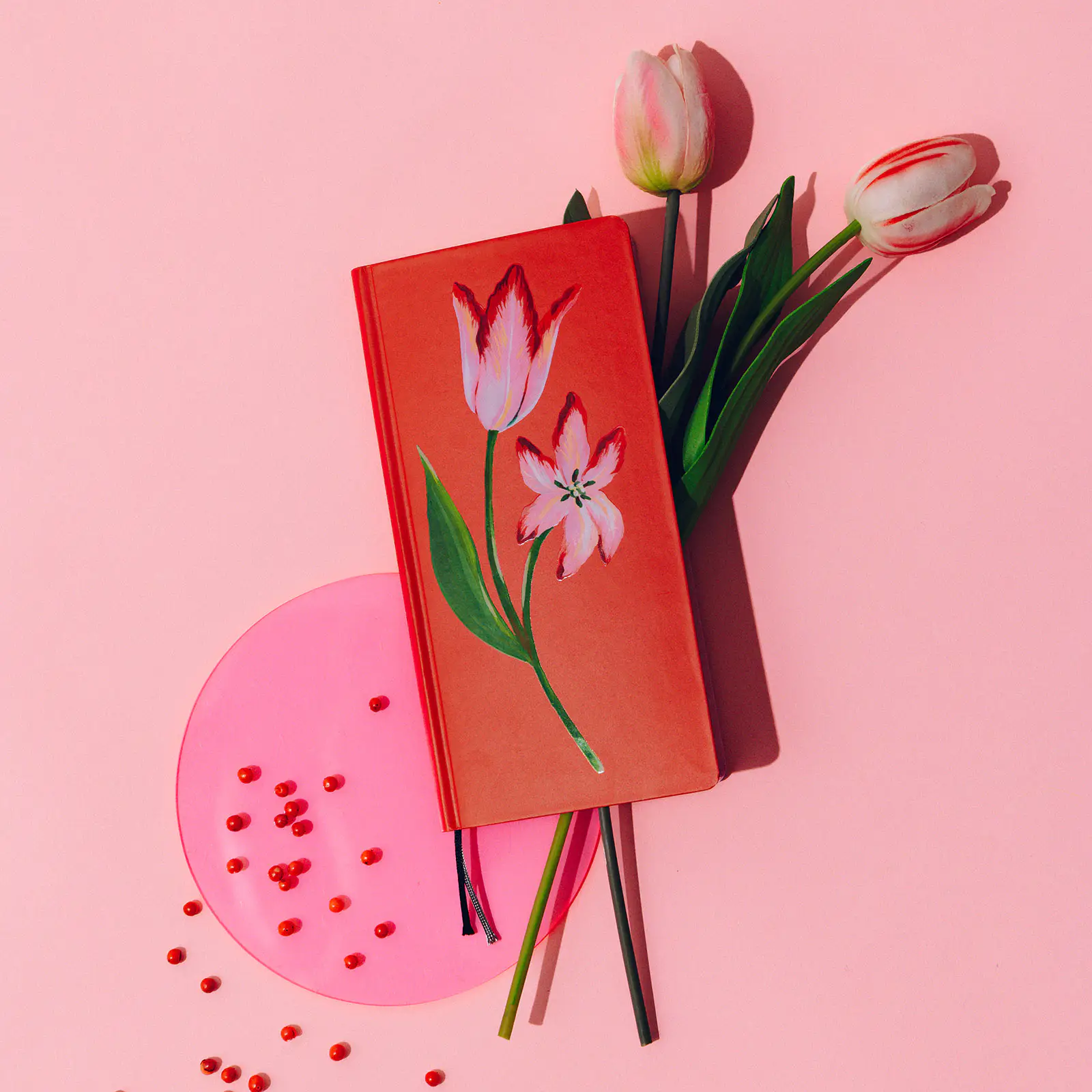 S22-Hobonichi A Bright Year weeks defter (hobonichi kalem hediye)