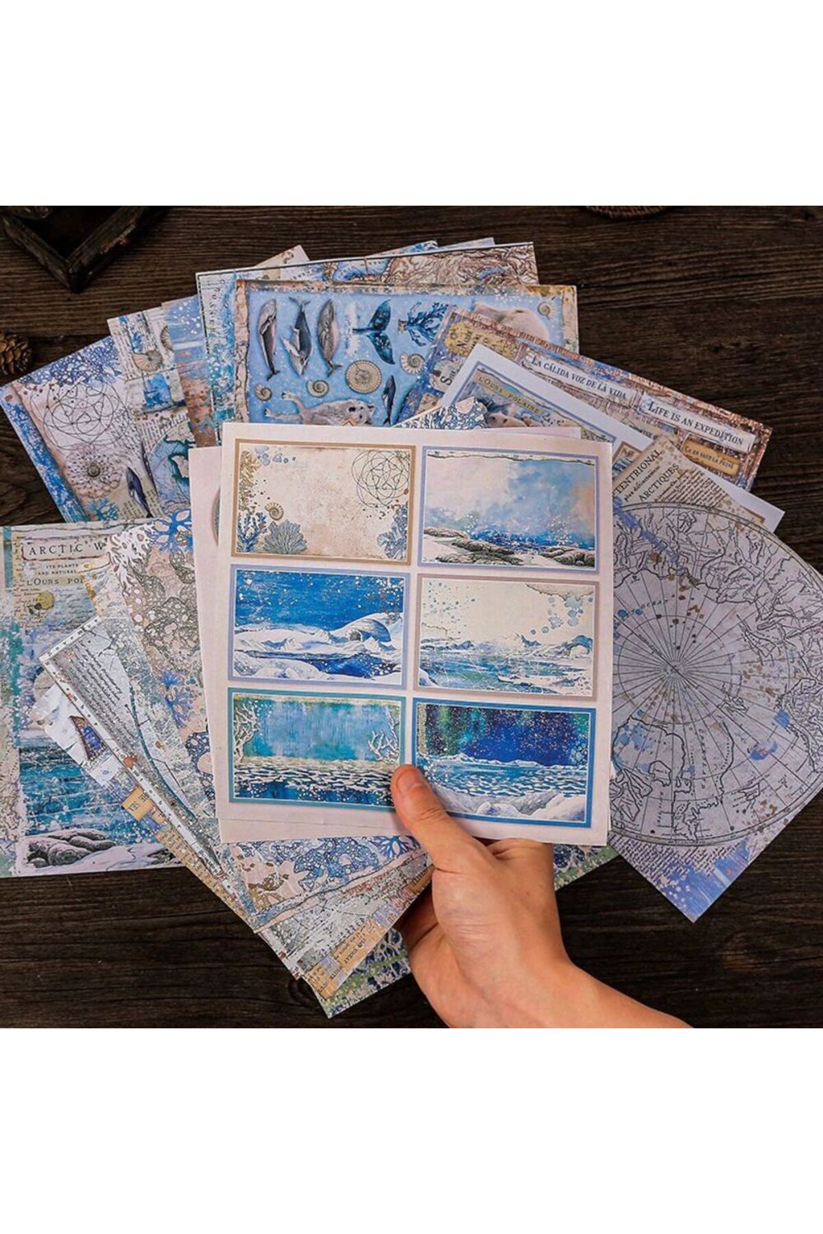 E6-16 sayfa Arktika scrapbook kâğıt 28