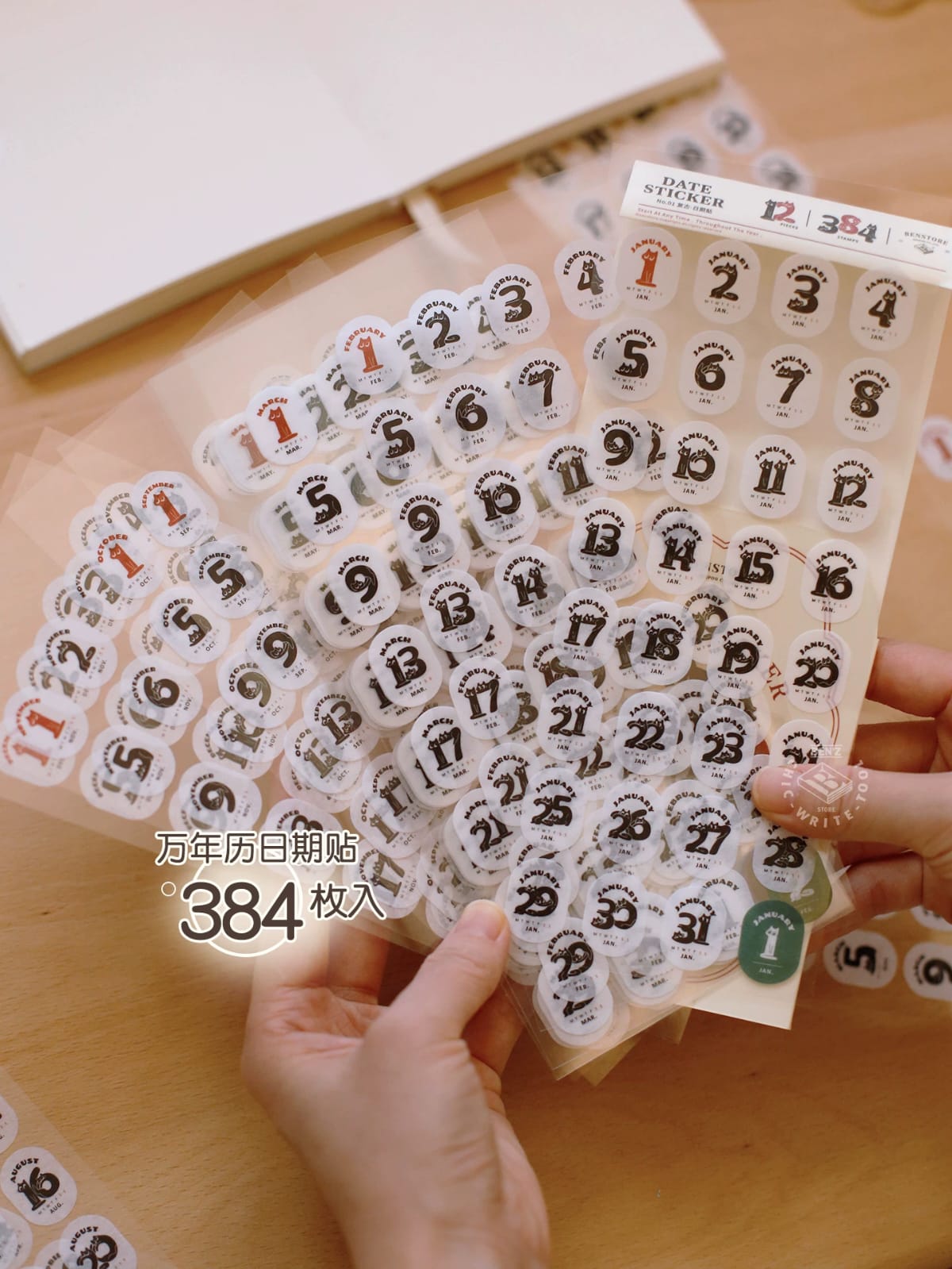 S10-Benstore 12 sayfa kedi tarih washi Sticker 