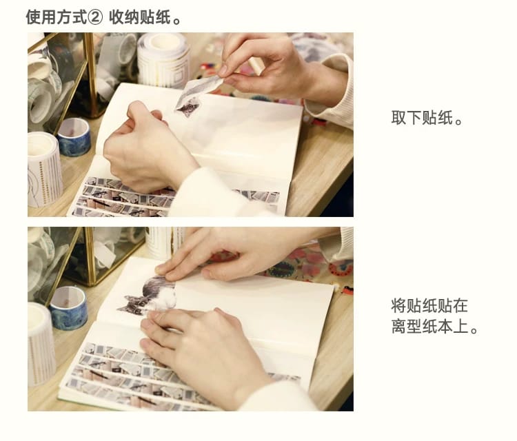 B17-TN pasaport boy sticker defter Refil