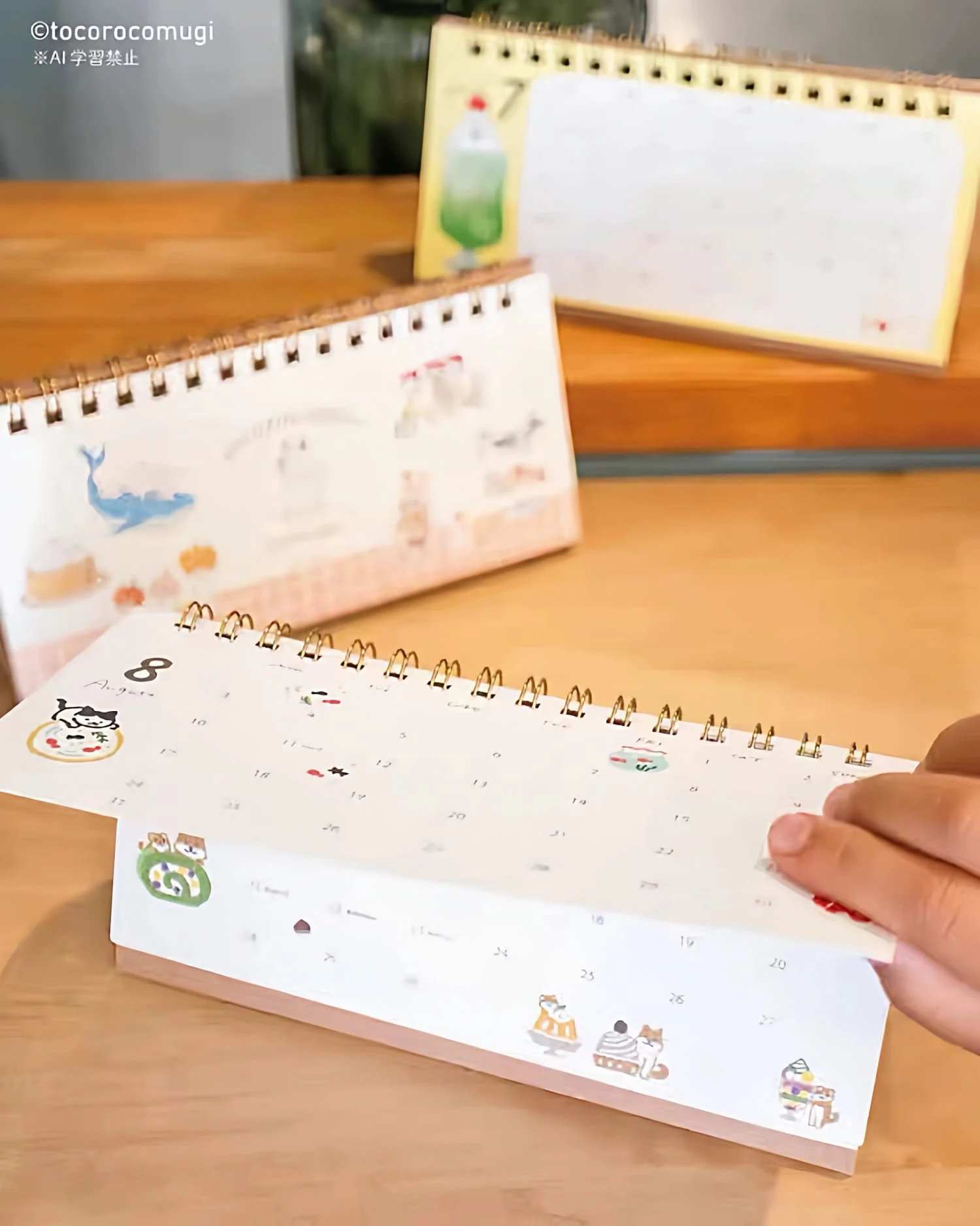 S27-Furukawashiko 2026 masa takvim