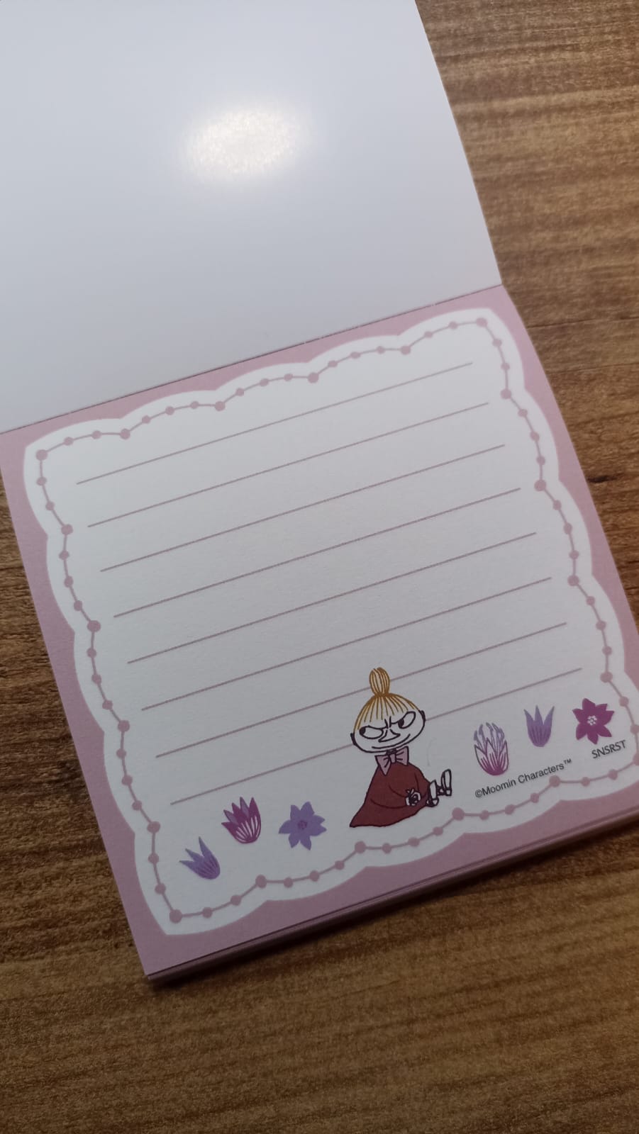 B2-Moomin 80 sayfa memo pad 