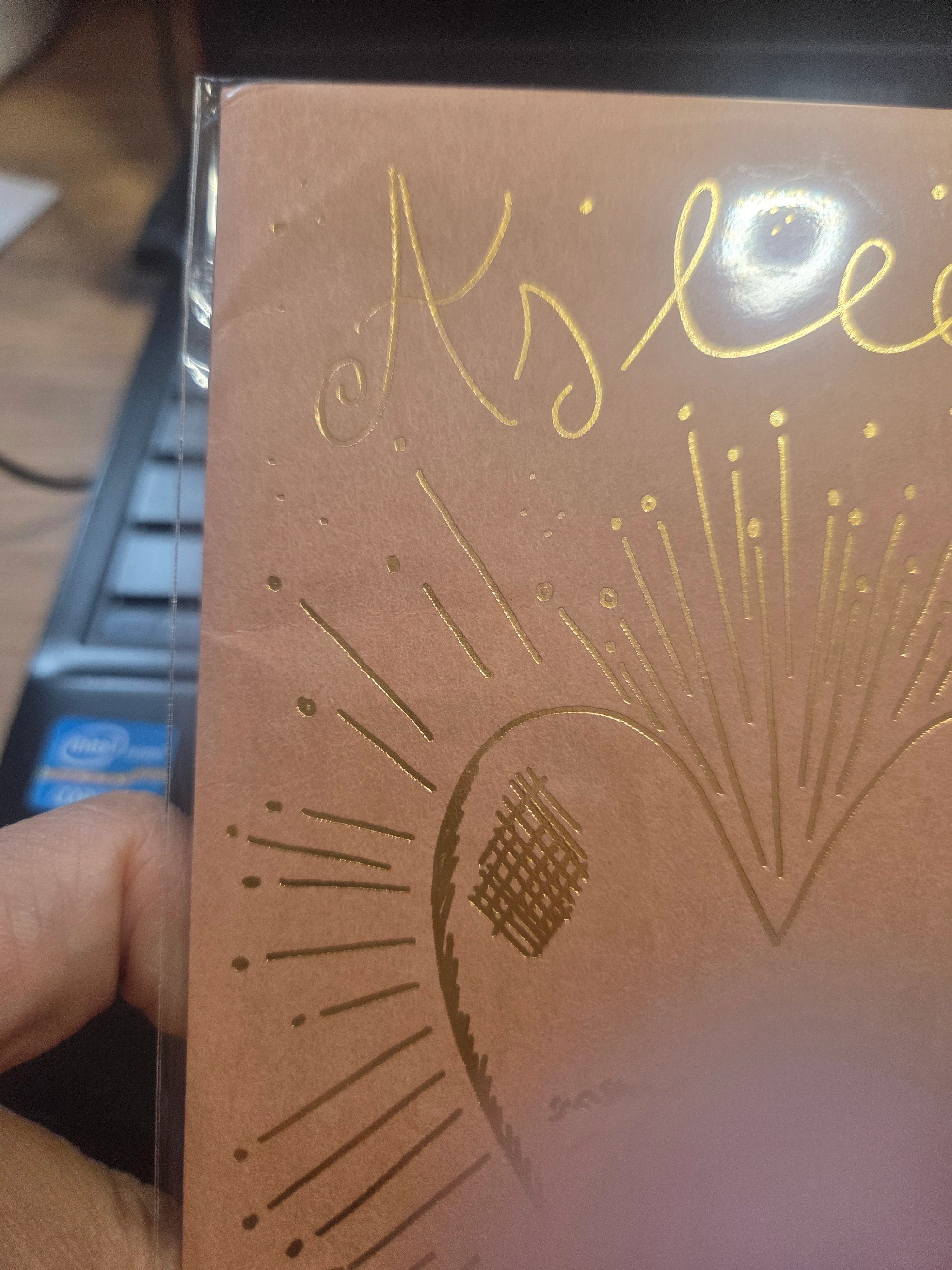 Y11-Traveler's Company x Aitor Saraiba akordeon refil 