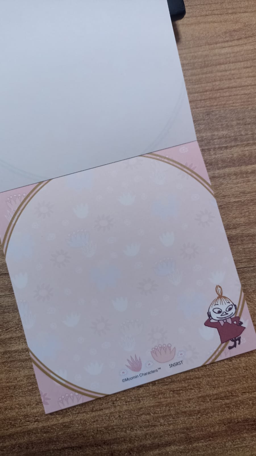 B2-Moomin 80 sayfa memo pad 