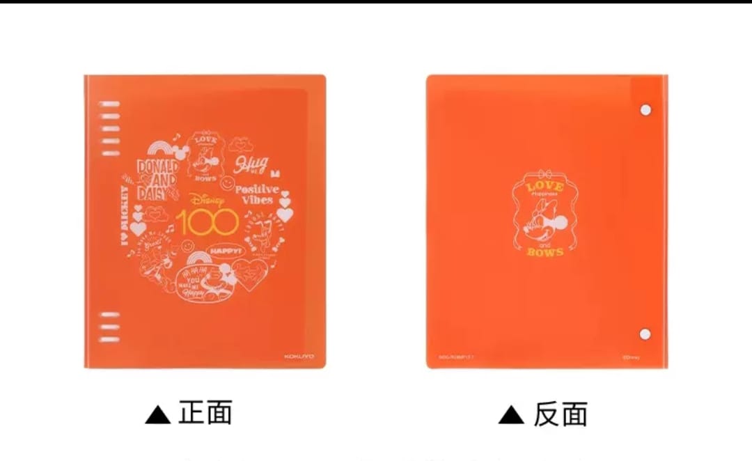 Disney Notebook