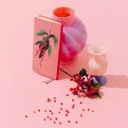 S22-Hobonichi A Bright Year weeks defter (hobonichi kalem hediye)