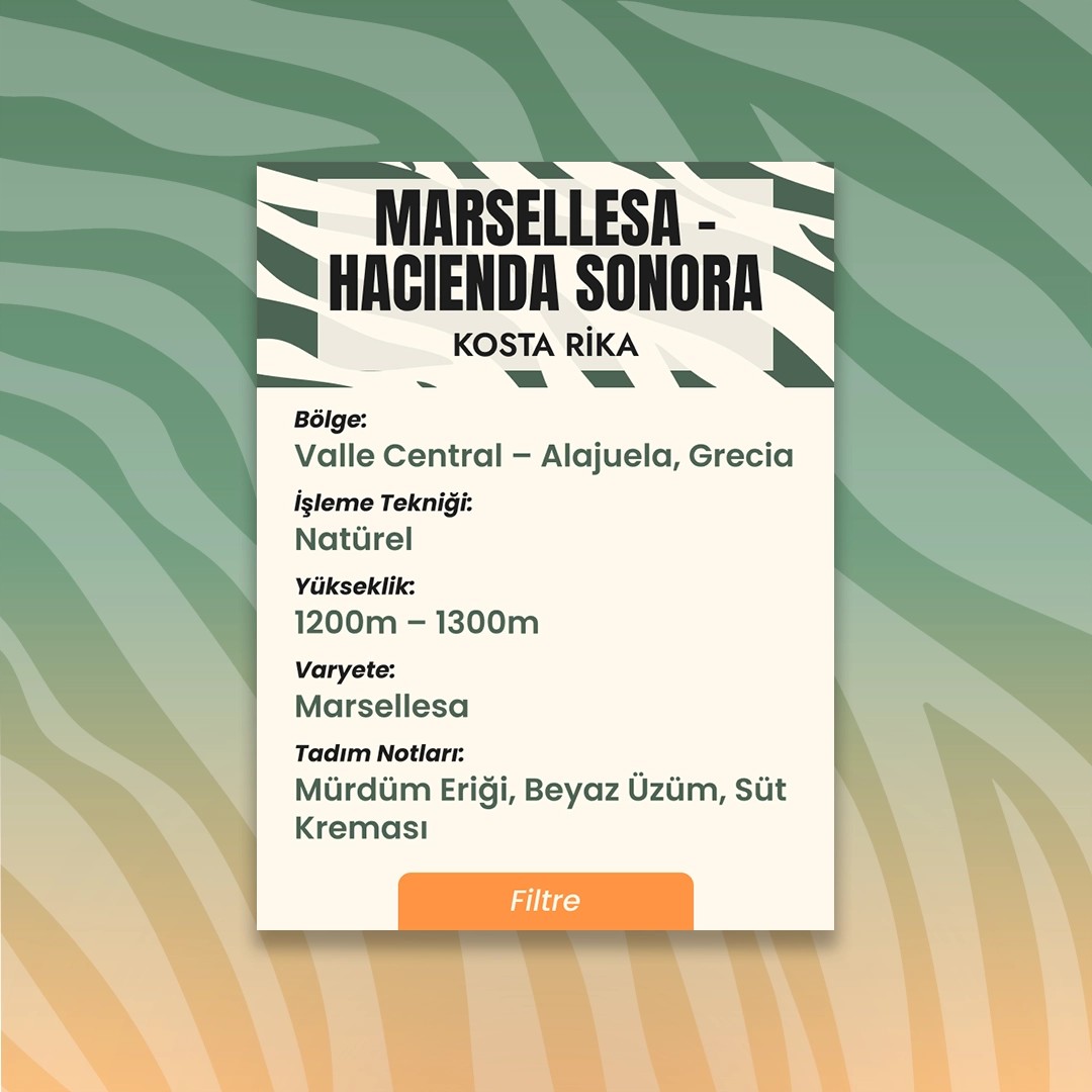 Marsellesa – Hacienda Sonora (Filtre)