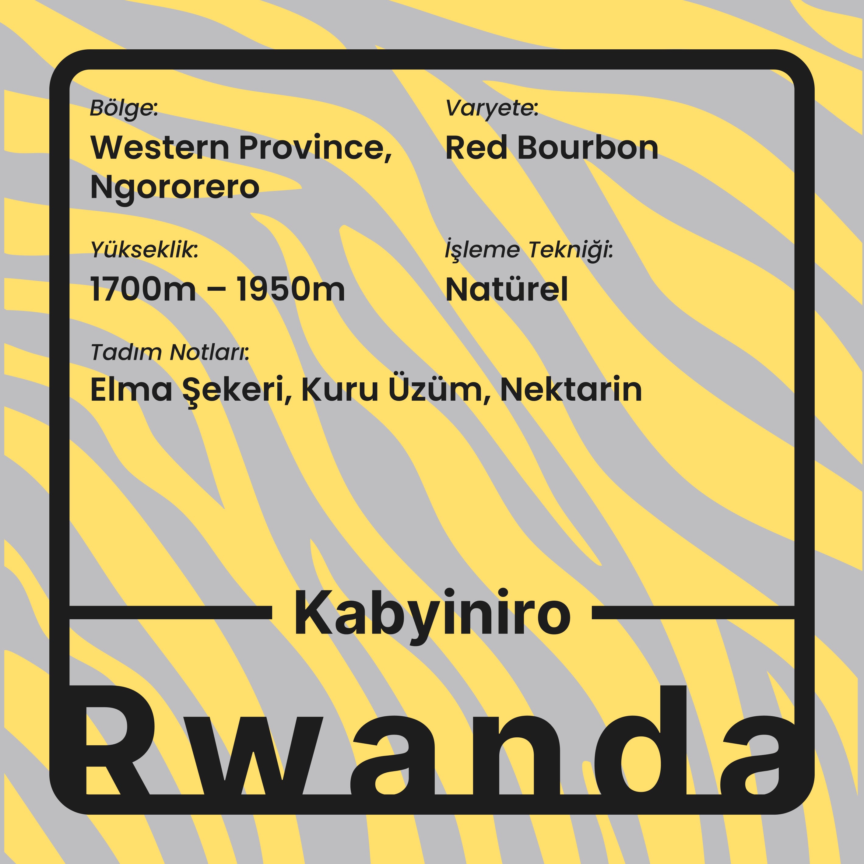 Kabyiniro (Filtre)