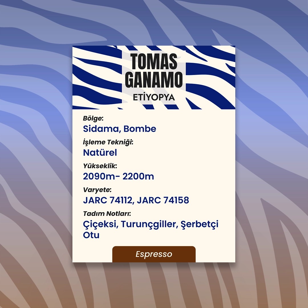 Tomas Ganamo (Espresso)