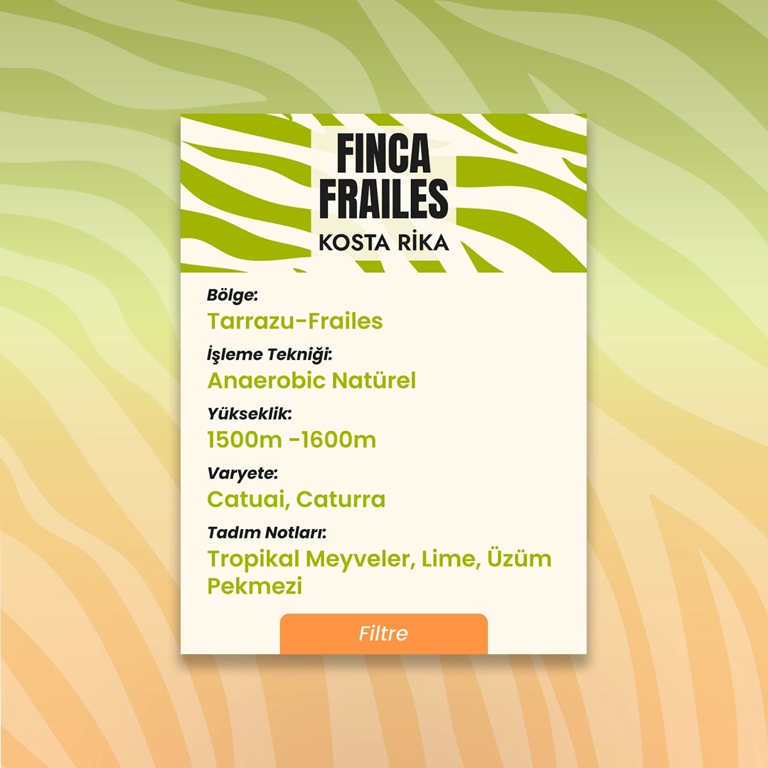 Finca Frailes (Filtre)