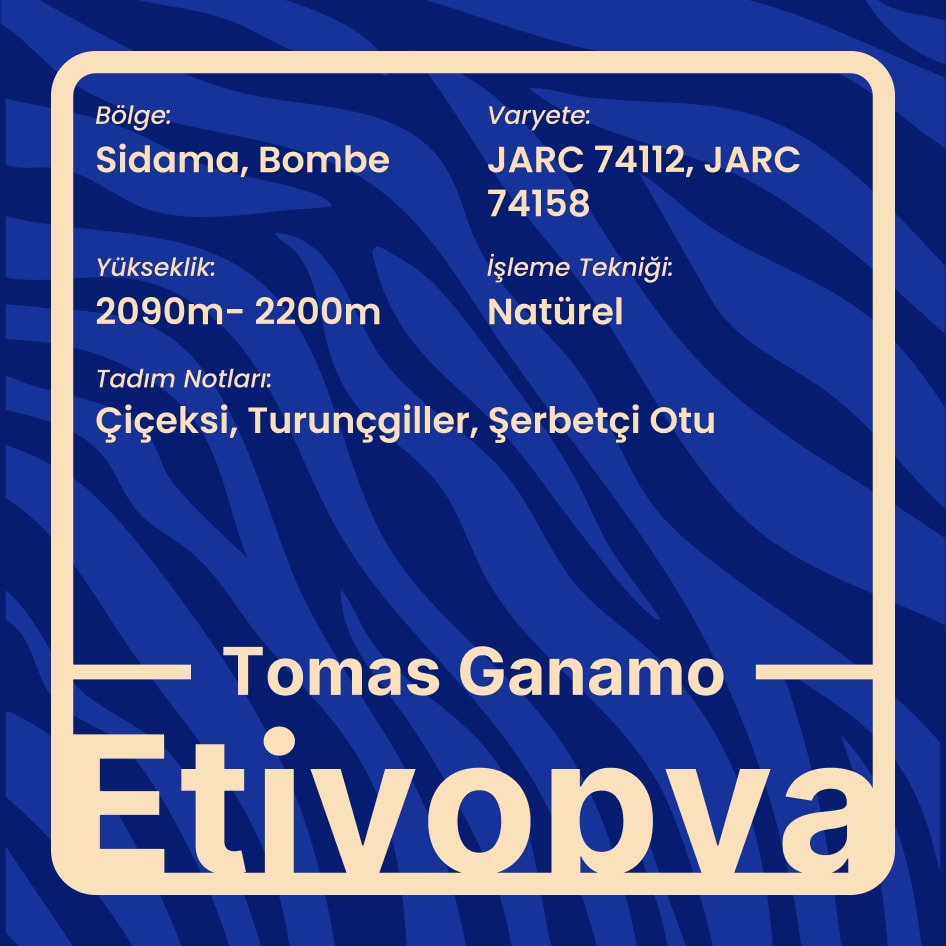 Tomas Ganamo (Espresso)