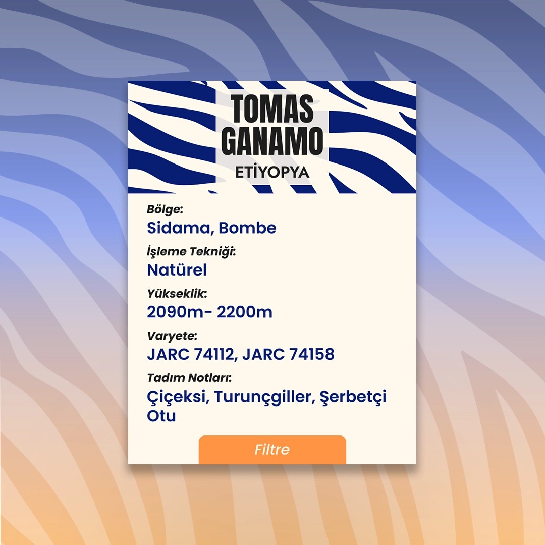 Tomas Ganamo (Filtre)