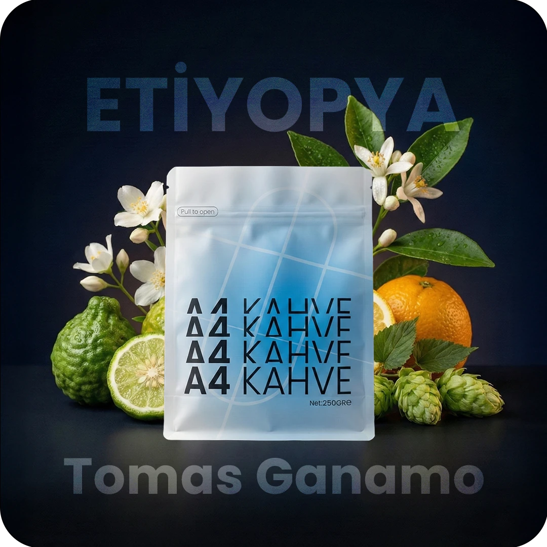 Tomas Ganamo (Filtre)