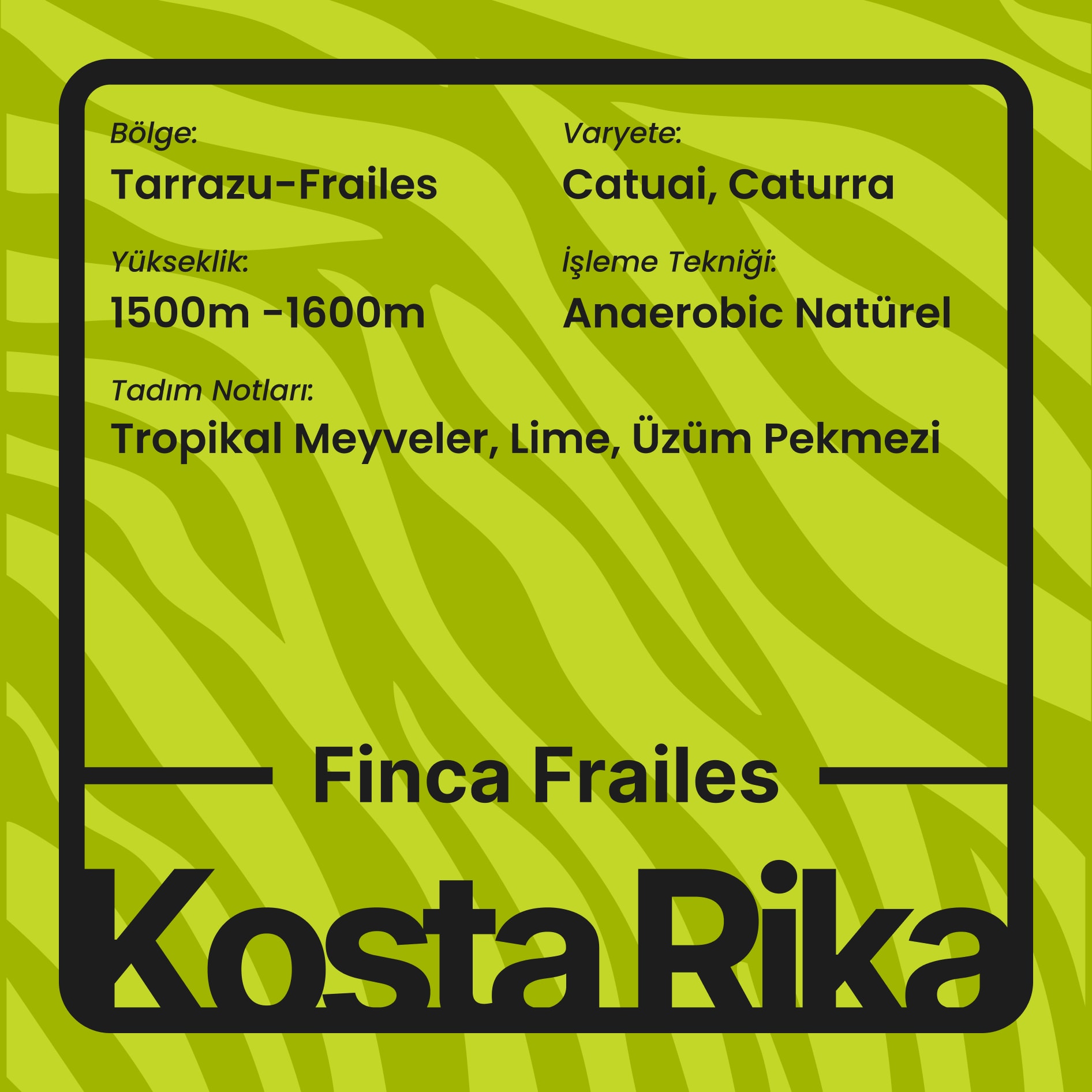 Finca Frailes (Filtre)
