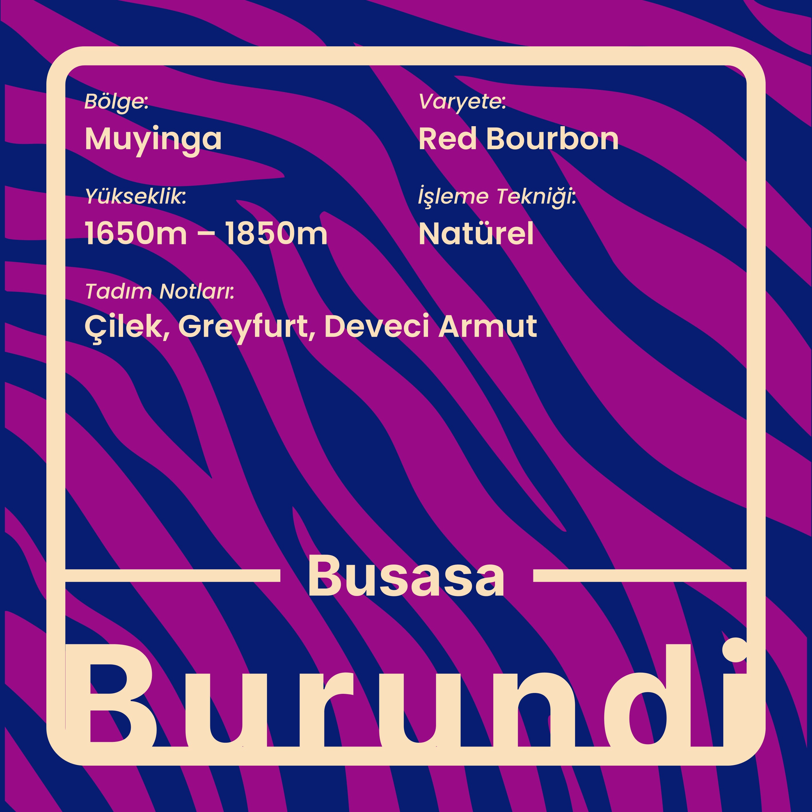 Busasa (Filtre)