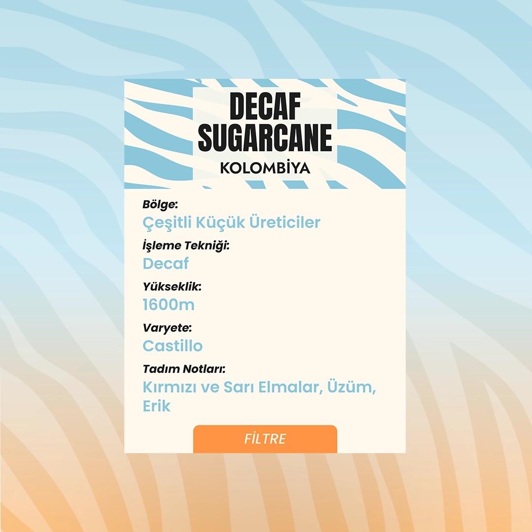 Decaf Sugarcane (Filtre)