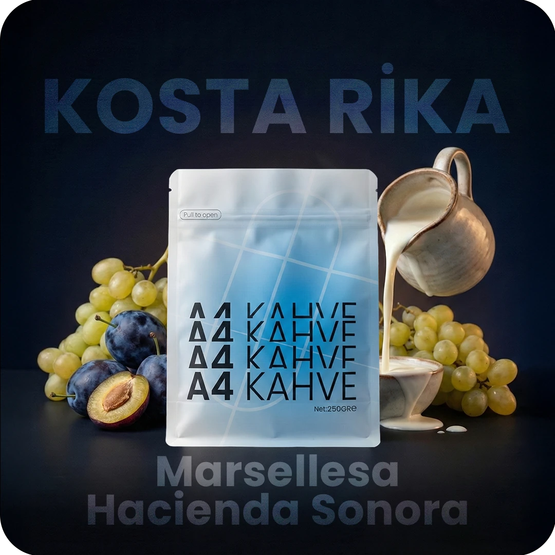 Kosta Rika Marsellesa – Hacienda Sonora