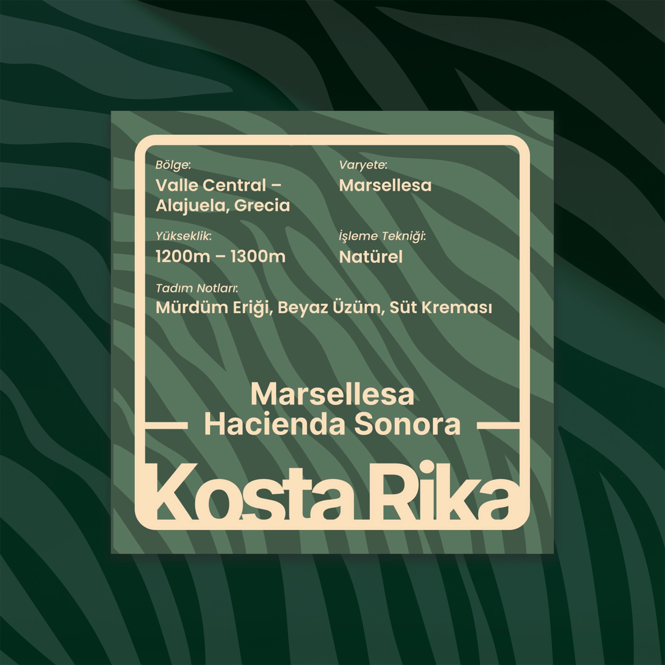 Marsellesa – Hacienda Sonora (Filtre)