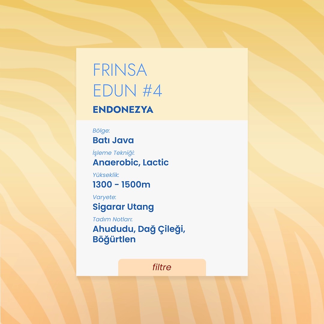 Frinsa Edun #4 Anaerobic Lactic Natural (Filtre)