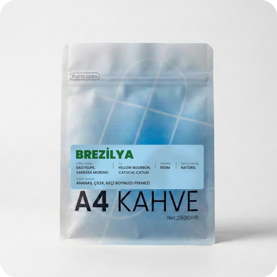 Brezilya Vanessa Moreno