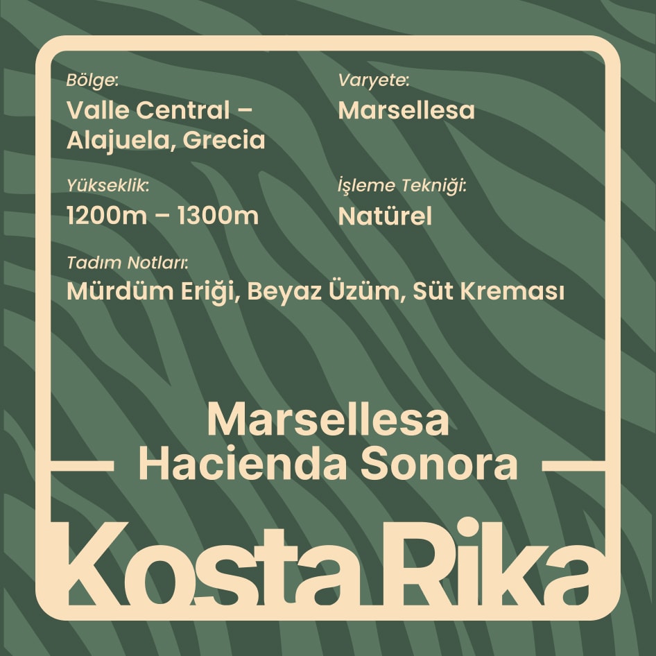 Marsellesa – Hacienda Sonora (Espresso)