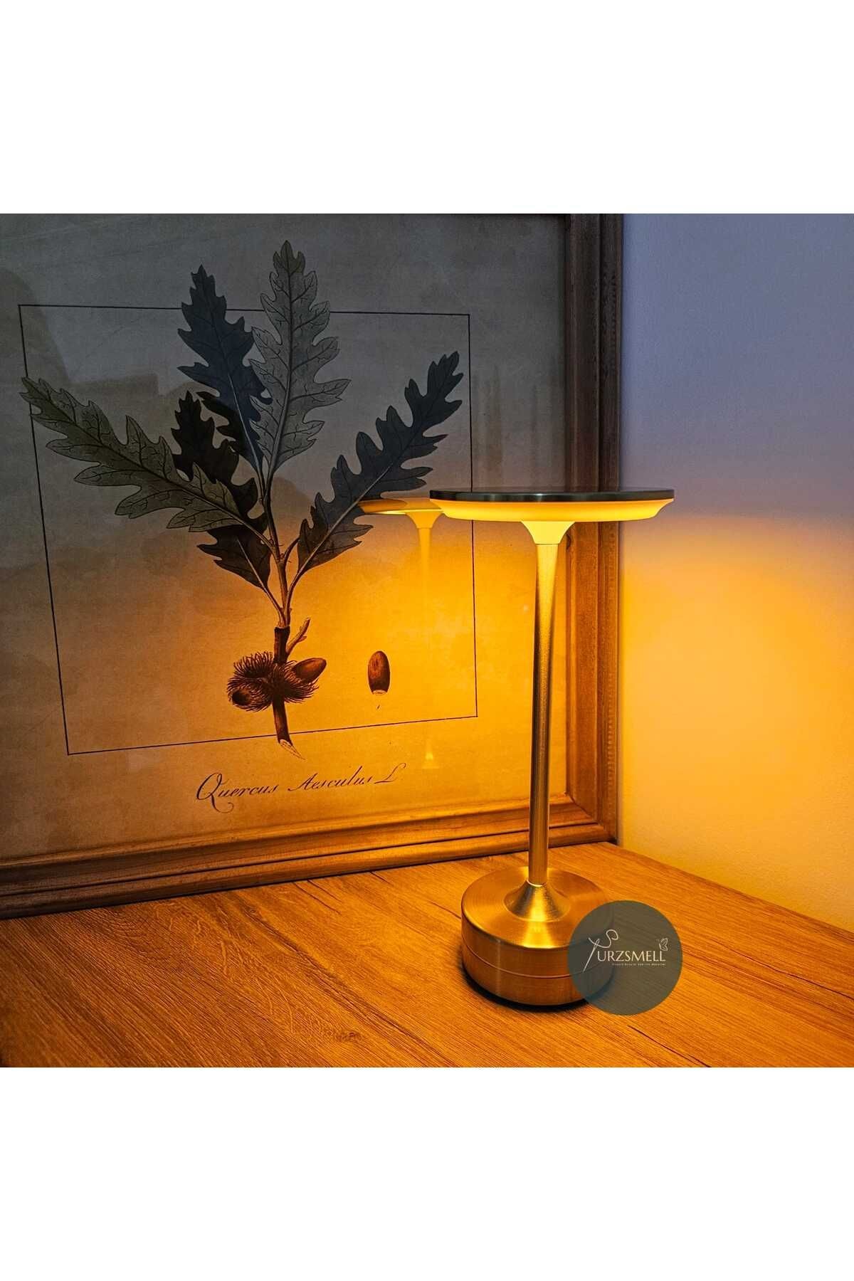 Ct-8438 3 Renk Masa Lambası Gold Kasa Düz Model (3000K - 4000K - 6500K) Dokunmatik Şarj Edilebilir