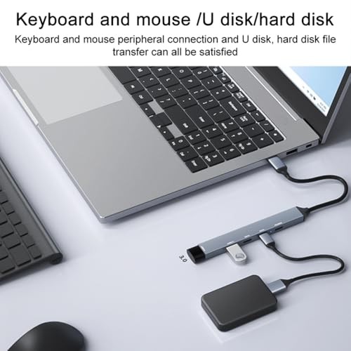 The Wlue PD 100W 5in1 Type-C to USB Çoklayıcı Çevirici Hub 5 Port / 2xUSB / 3xType-C