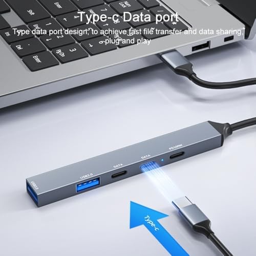 The Wlue PD 100W 5in1 Type-C to USB Çoklayıcı Çevirici Hub 5 Port / 2xUSB / 3xType-C