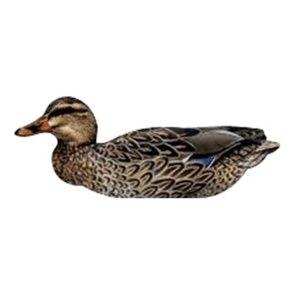 NRA FUD Mallard Ducks Ördek Mühre-(3 ERKEK-3 DİŞİ)