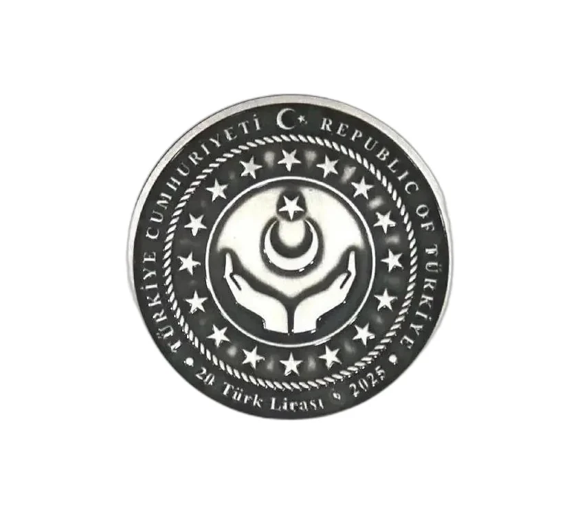 2025 Aile Yılı (Gümüş/Okside) Hatıra Parası