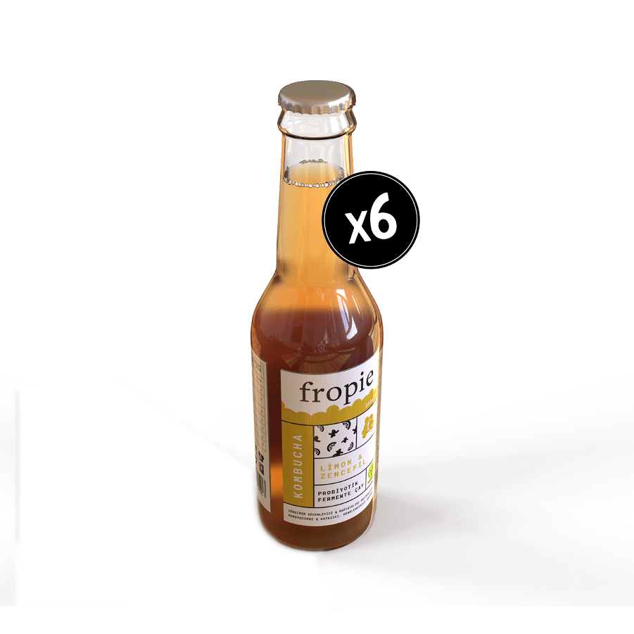 Limon & Zencefilli Probiyotik Kombucha - 250 ml - 6 adet