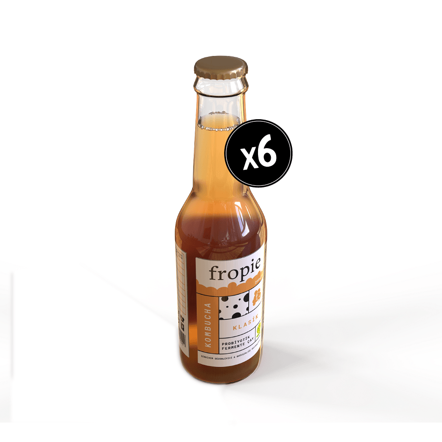 Probiyotik Kombucha Klasik 250 ml x 6 Adet