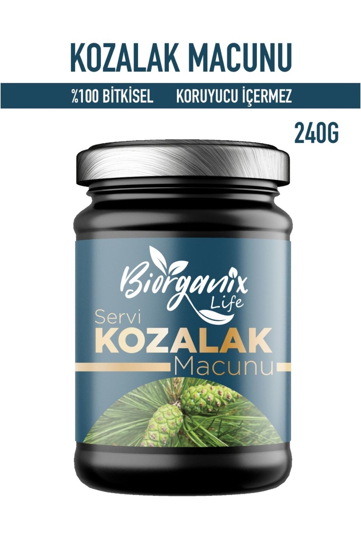Kozalak Macunu