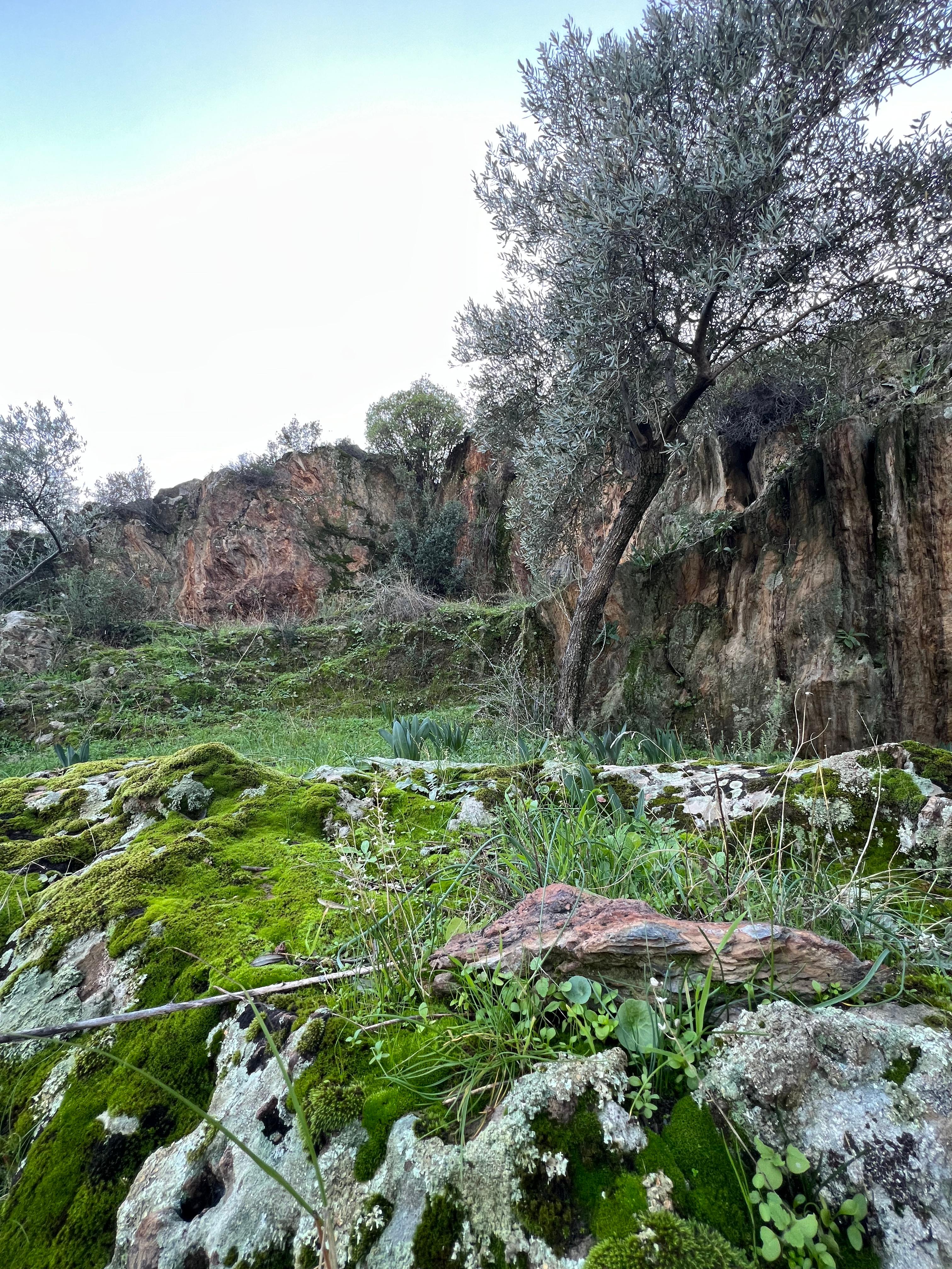 Heraklia Antik Kenti