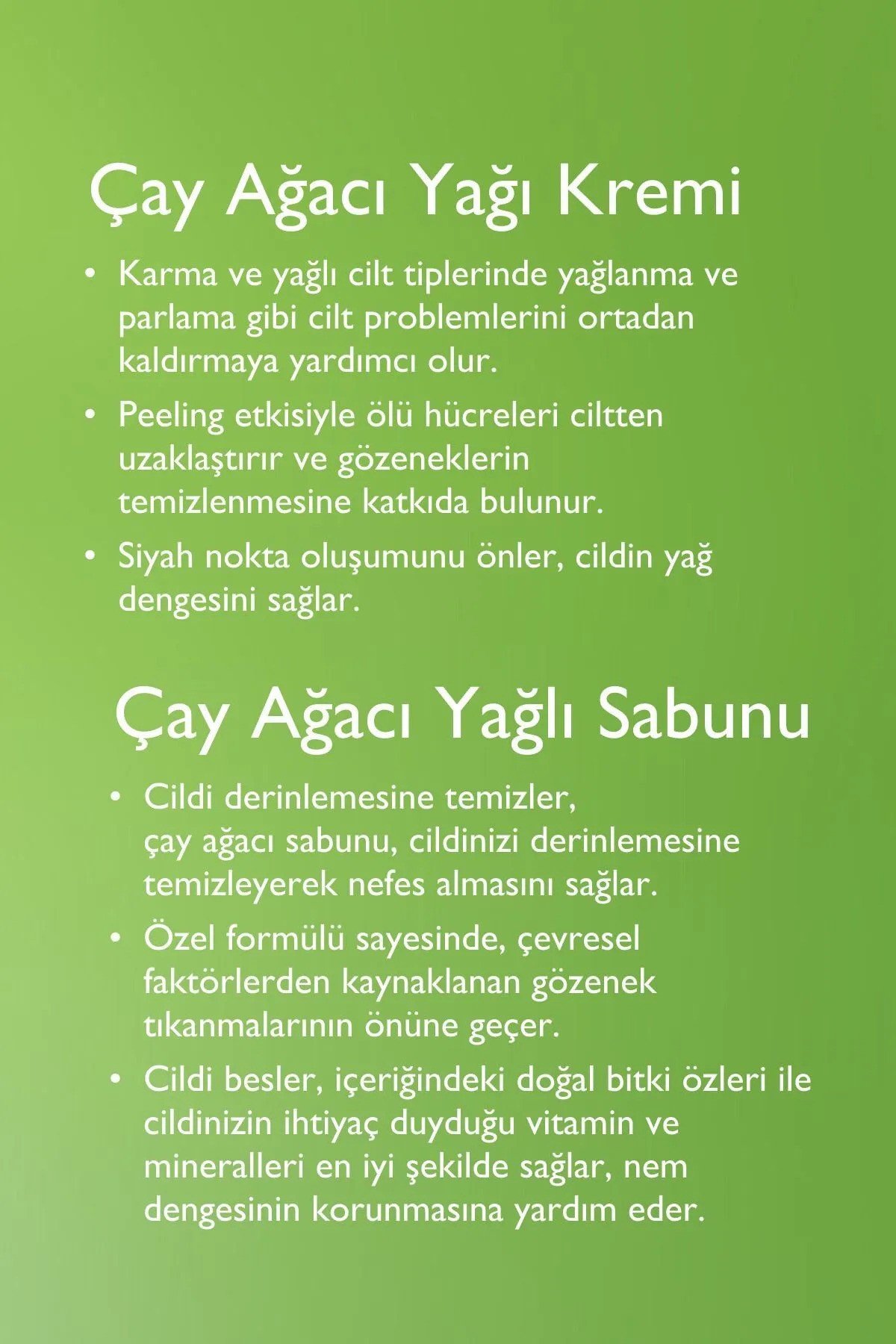 Baga Çay Ağacı Krem &Çay Ağacı Yağlı Sabun Set