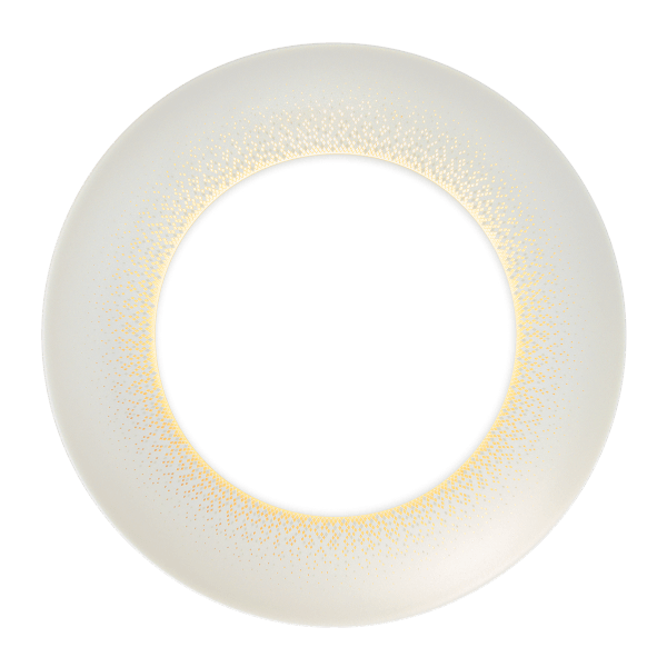 Haviland Souffle d’Or Servis Tabak cover pic